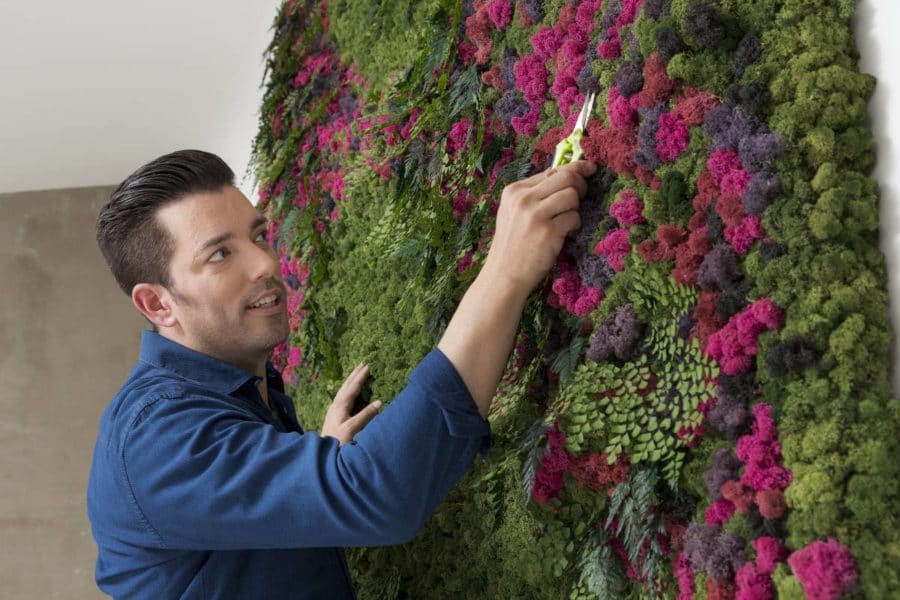 Jonathan Scott trimming a vibrant vertical garden wall with green moss