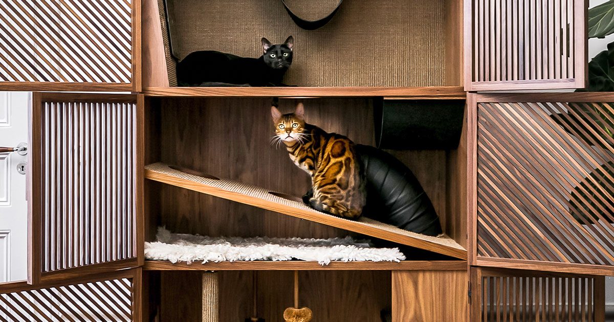 cat flat cabinet with cats sitting on shelves