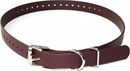 Brown leather dog collar with metal buckle and D-ring