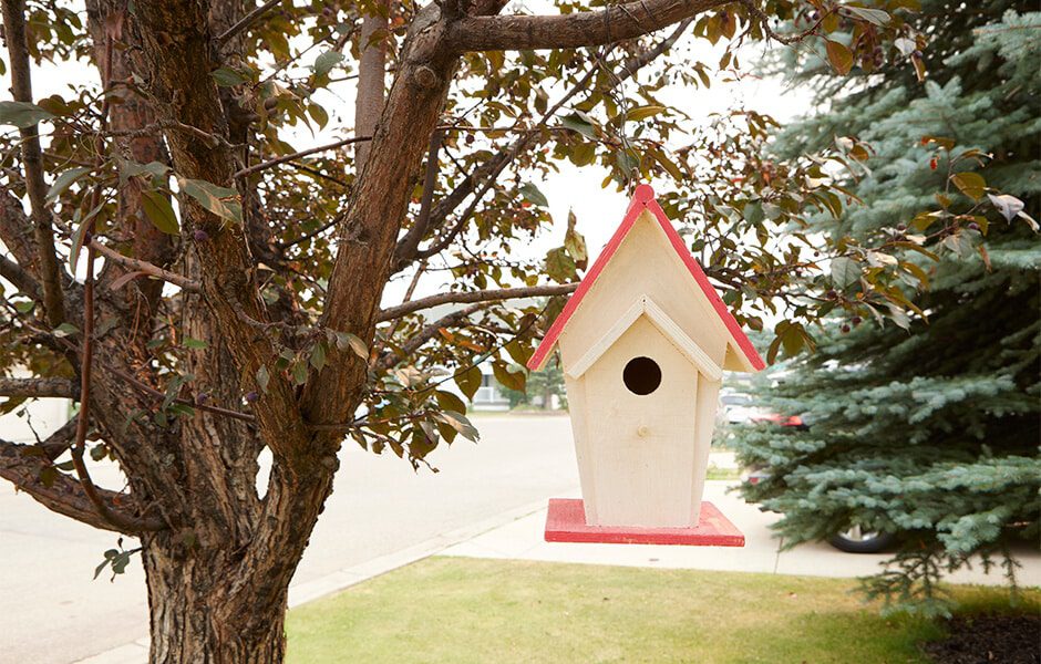 White wooden birdhouse with a red roof hanging from a tree branch.
