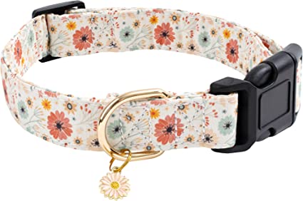 Floral dog collar with a daisy charm and gold buckle ring