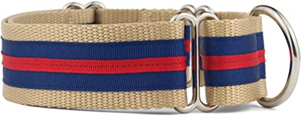Beige pet collar with blue and red stripes and silver metal rings
