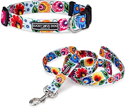 Colorful floral dog collar and matching leash set with metal clasp