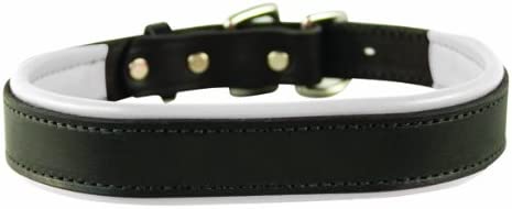 Black leather dog collar with white padded lining and metal buckle