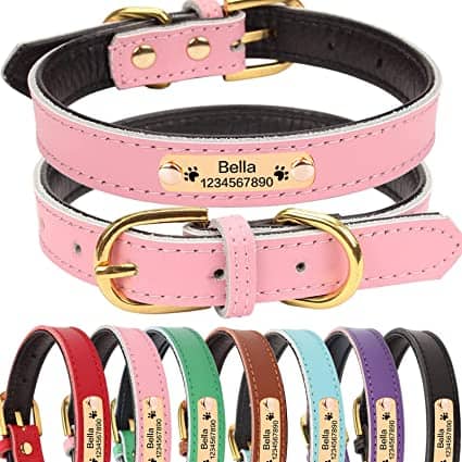 Colorful leather pet collars with engraved nameplates and gold buckles, shown in pink, red, green, brown, teal, purple, blue, and black