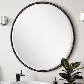 Round wall mirror with a thin black frame, mounted above a sink with a plant and faucet visible in the foreground