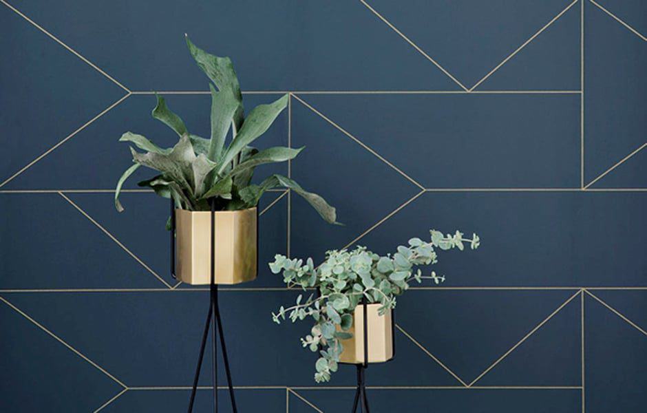 Gold planters with green plants against a dark blue geometric wall