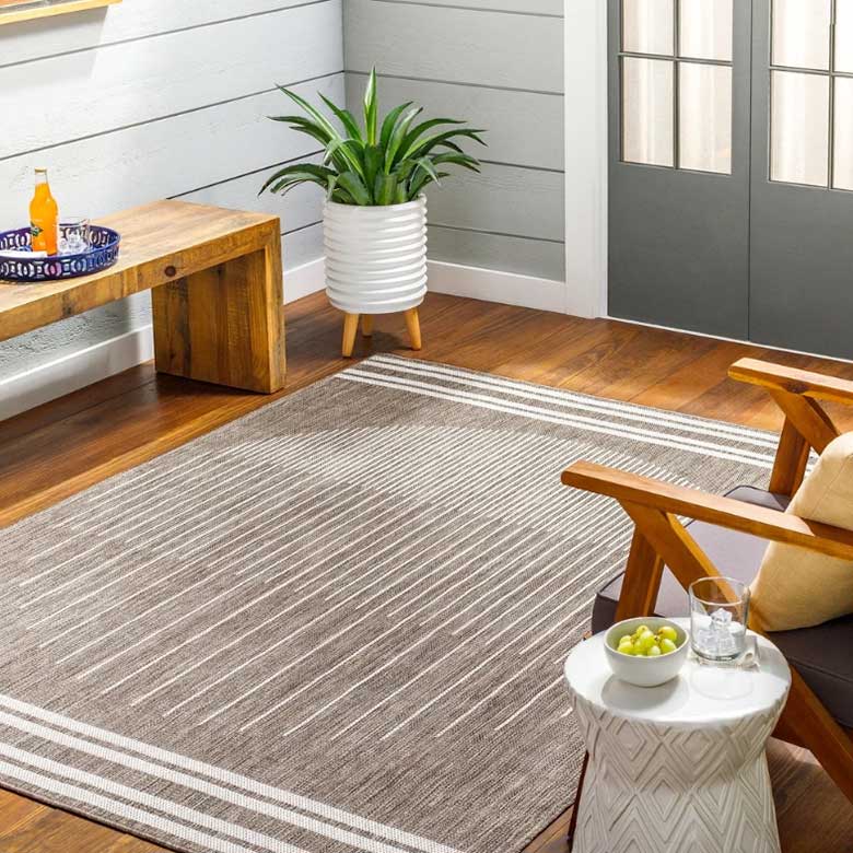 Cozy sunroom with a striped area rug, wooden furniture, and a potted plant