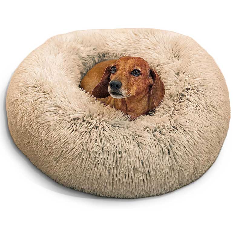 Dog in a fluffy round beige pet bed