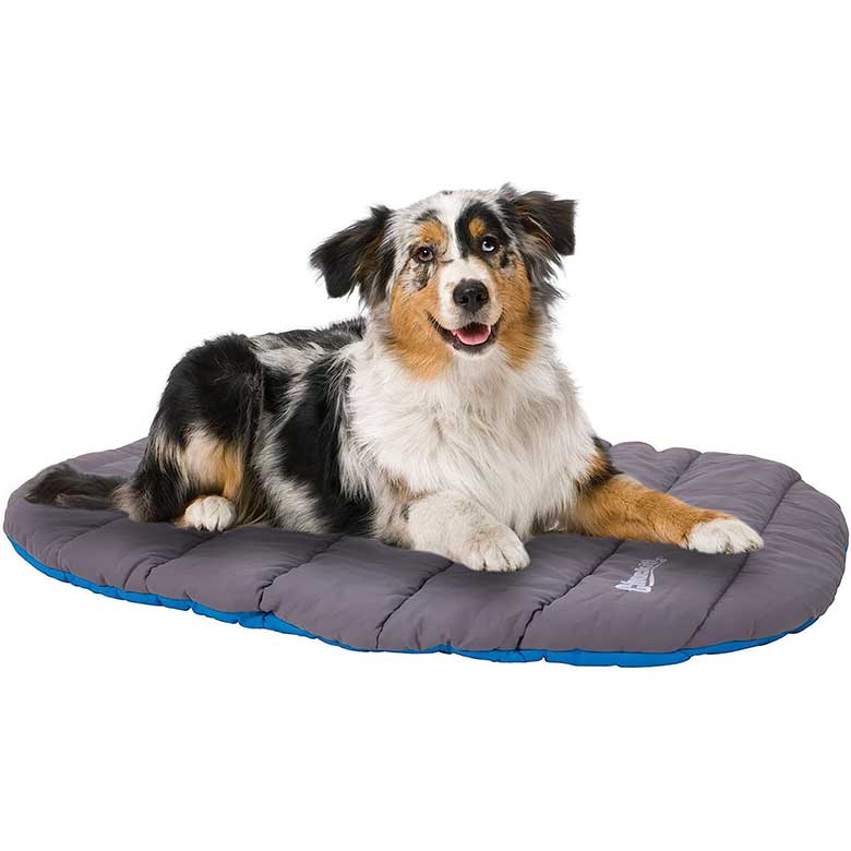 Australian Shepherd lying on a gray and blue padded dog mat