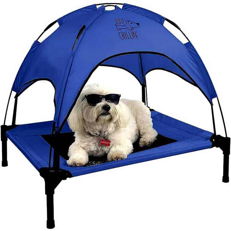 A dog relaxing under a blue tent with sunglasses, labeled "JUST CHILLIN"