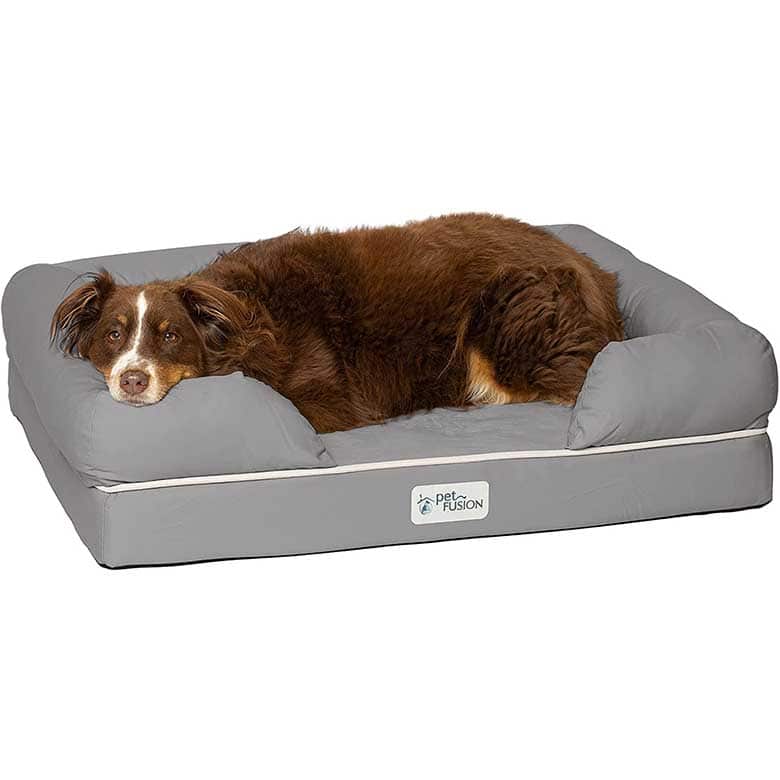 Brown dog resting on a gray orthopedic pet bed with raised sides