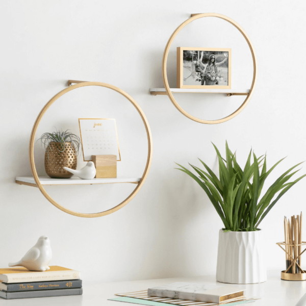 Decorative circular wall shelves with a plant, photo frame, and small accents