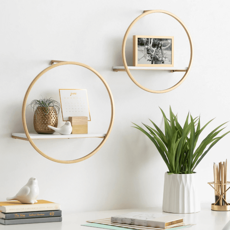 Decorative circular wall shelves with a plant, photo frame, and small accents