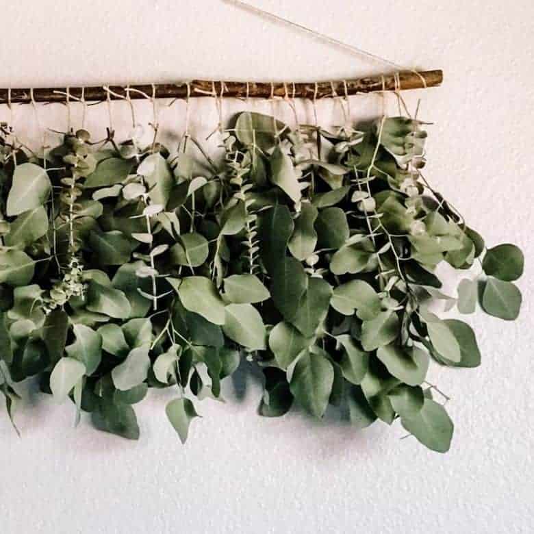 Wall hanging made of eucalyptus branches tied to a wooden stick with string