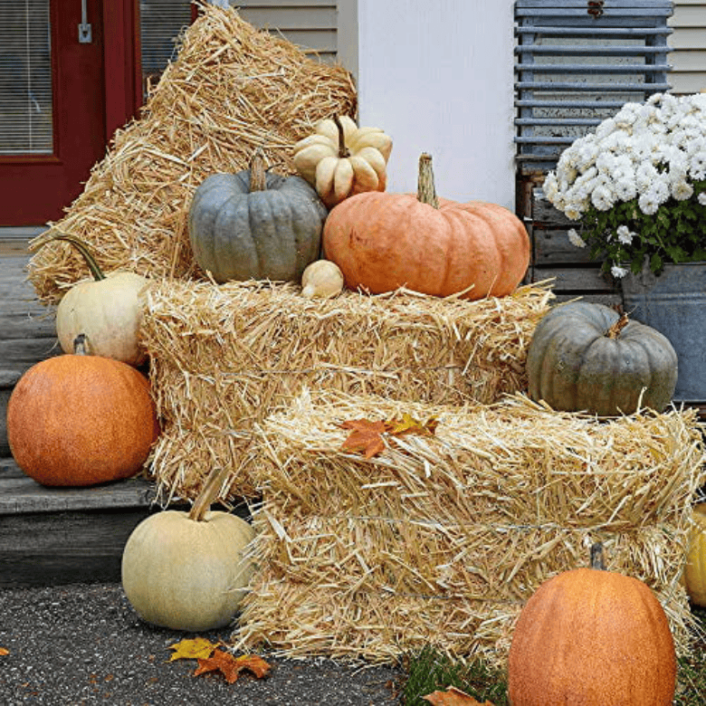 Fall decorative arrangement with hay bales, pumpkins, and white flowers on a porch