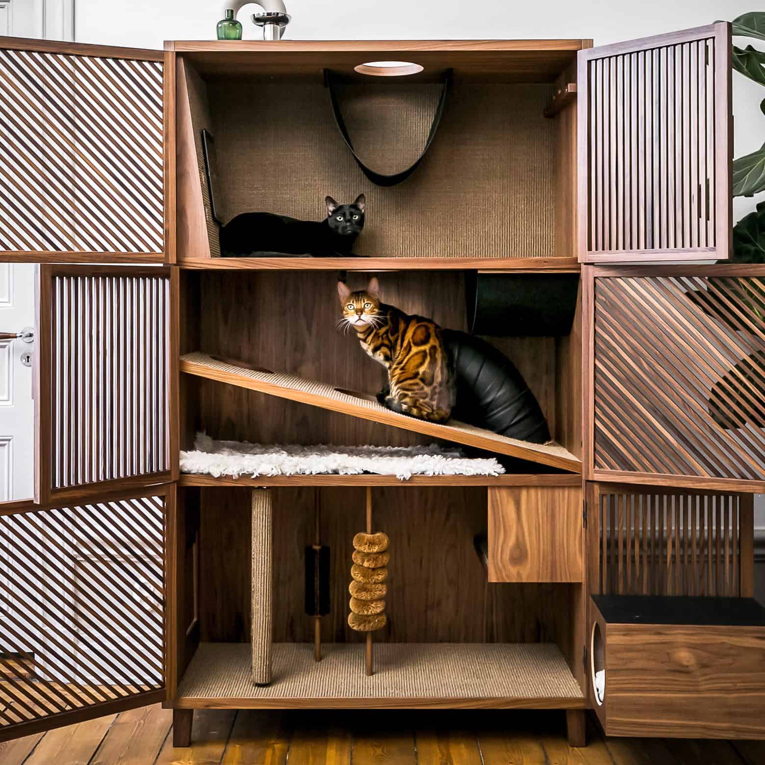 cat play palace