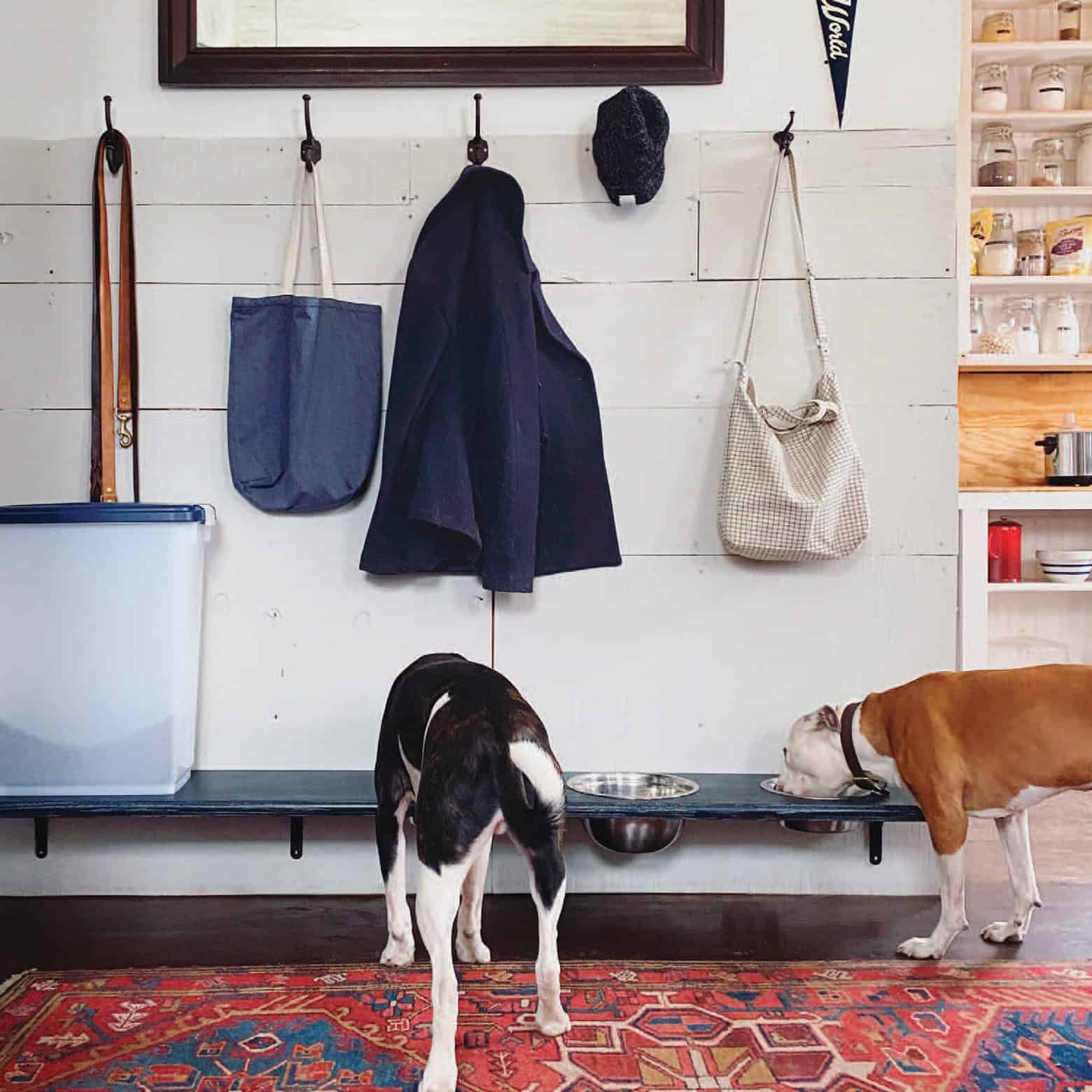 bench with built-in dog bowls