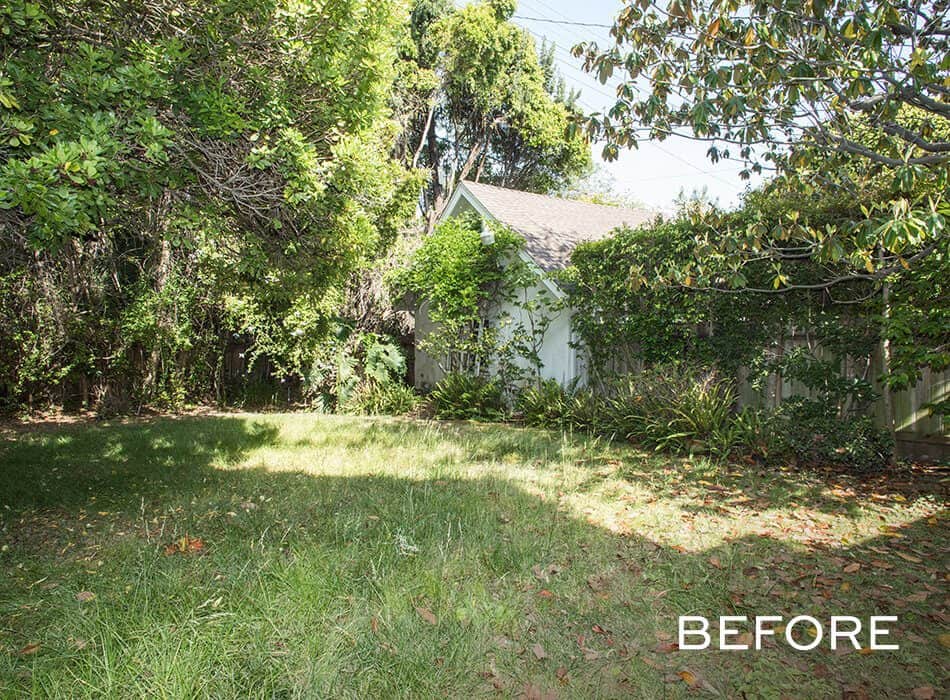 Overgrown backyard with patchy grass, dense foliage, and a small white shed partially covered by vines