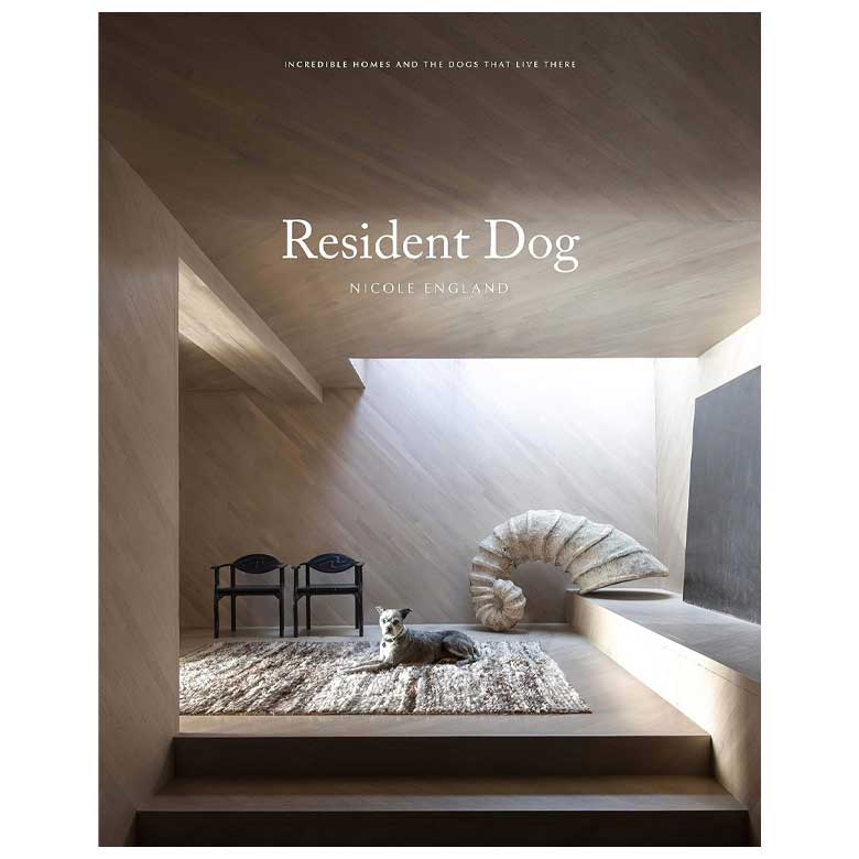Book cover titled "Resident Dog" by Nicole England, featuring a modern interior with a spiral sculpture, chairs, and a dog lying on a rug