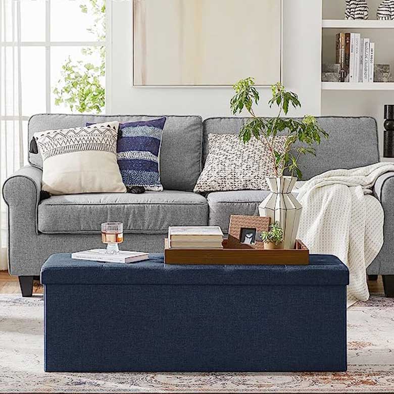 Living room with a gray sofa, patterned pillows, a navy ottoman, and a tray with decor and books