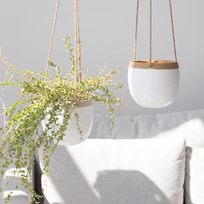 Hanging white ceramic planters with greenery, lit by natural sunlight