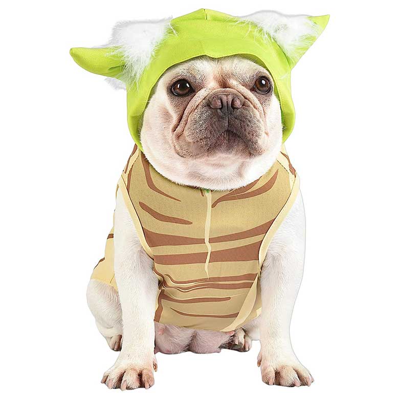 yoda dog halloween costume