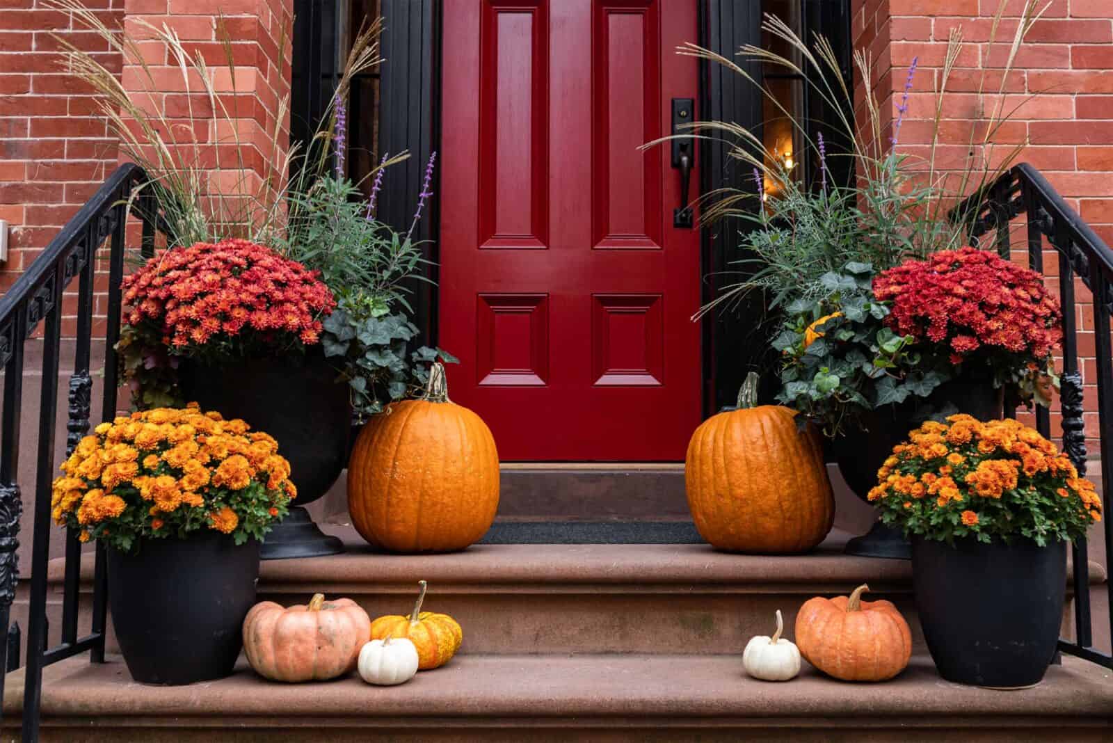 Fall front porch with red door, pumpkins, and potted mums in black planters