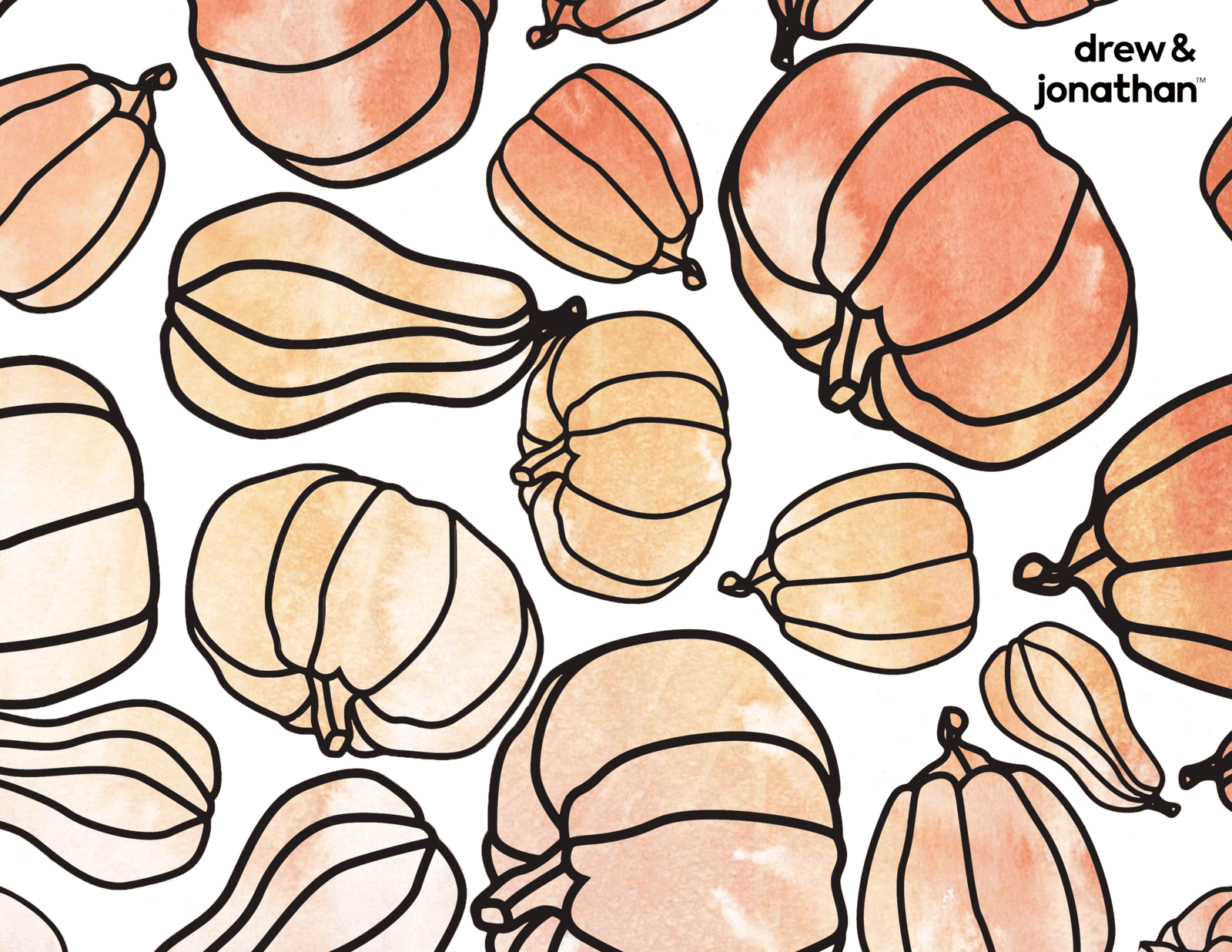 Watercolor pumpkin and gourd pattern in warm orange and beige tones with “drew & jonathan” logo