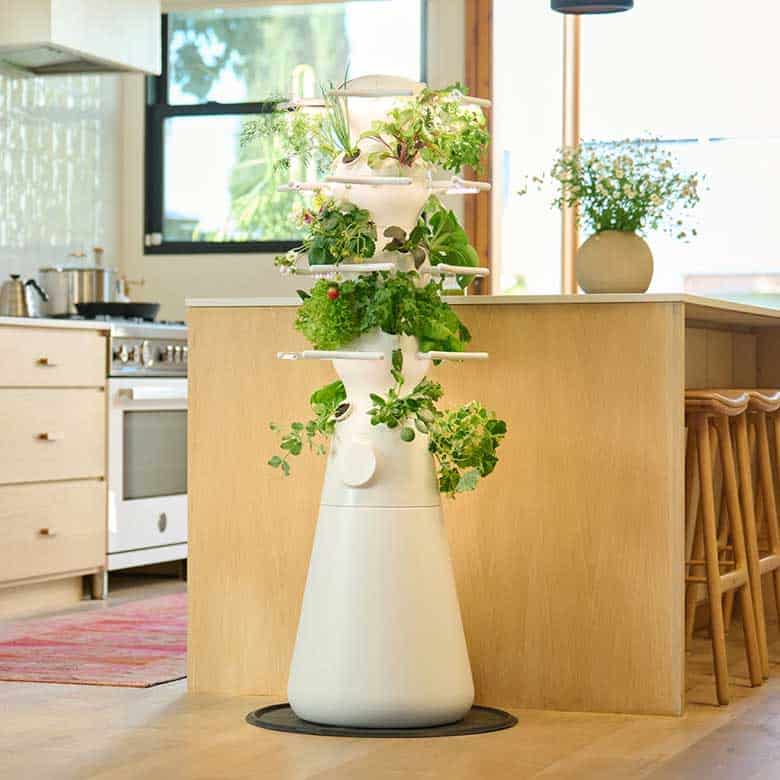 lettuce grow farmstand