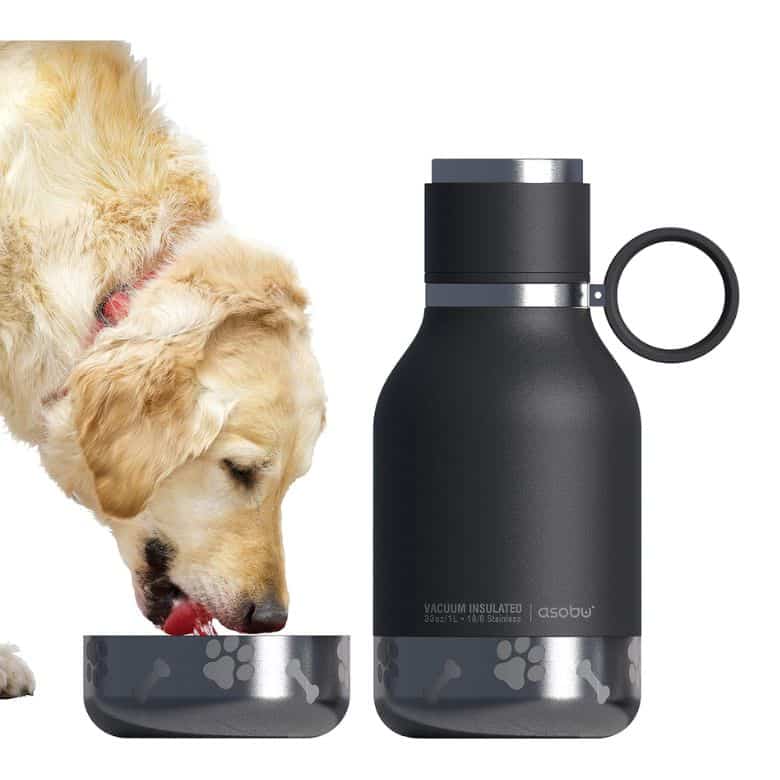 Dog drinking from a detachable bowl next to a black vacuum-insulated water bottle