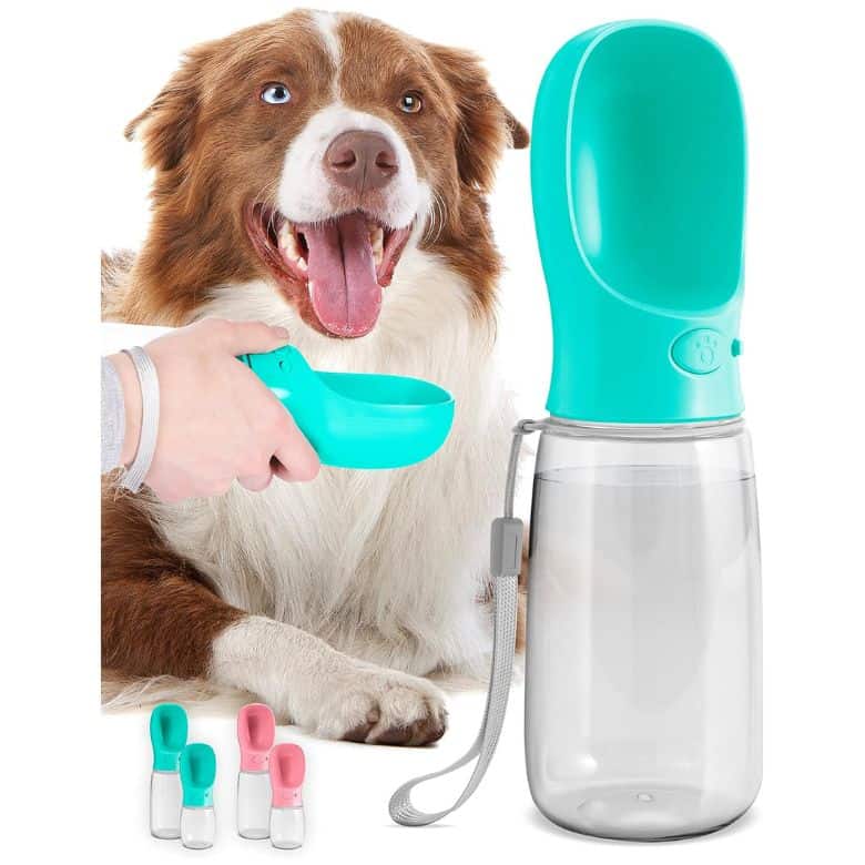 Dog drinking from portable turquoise water bottle dispenser