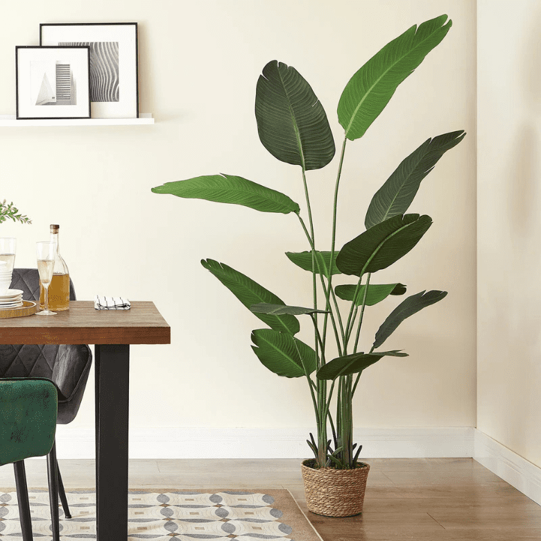Tall green houseplant in a woven basket placed beside a dining table with framed art on the wall