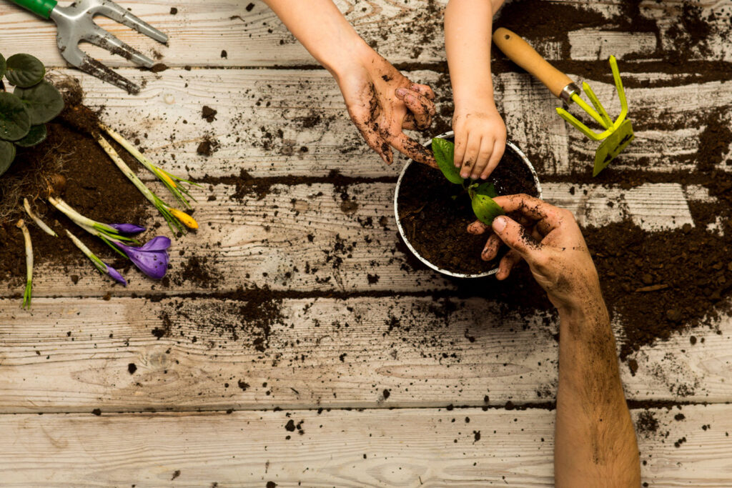 gardening for beginners