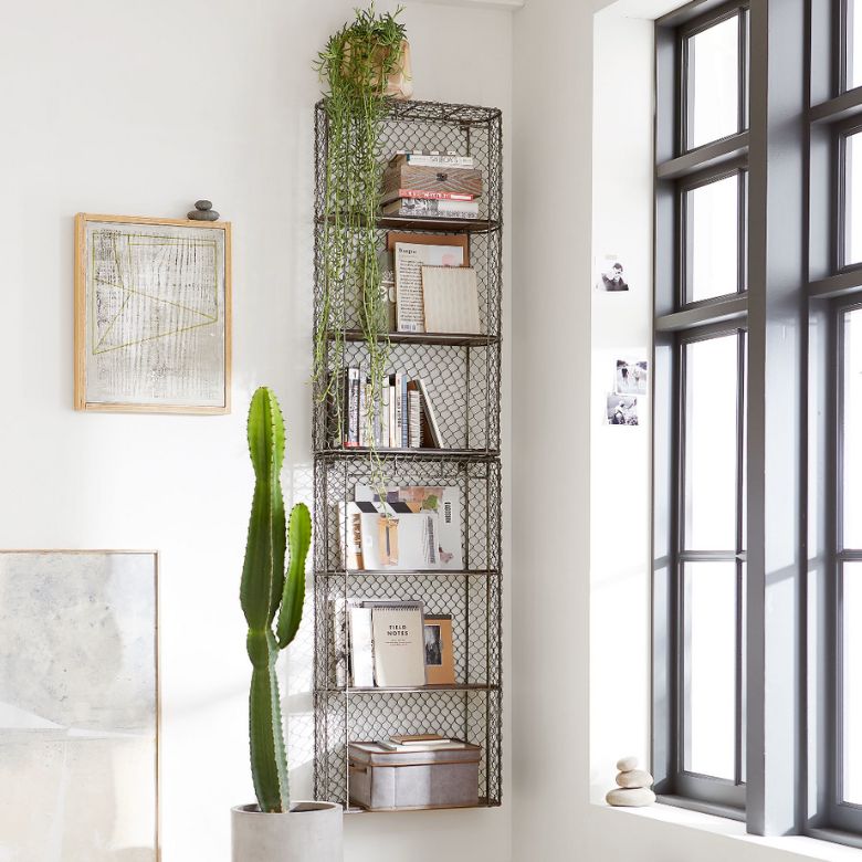 Tall cactus in a white pot beside a metal wall shelf with books and a hanging plant near a window
