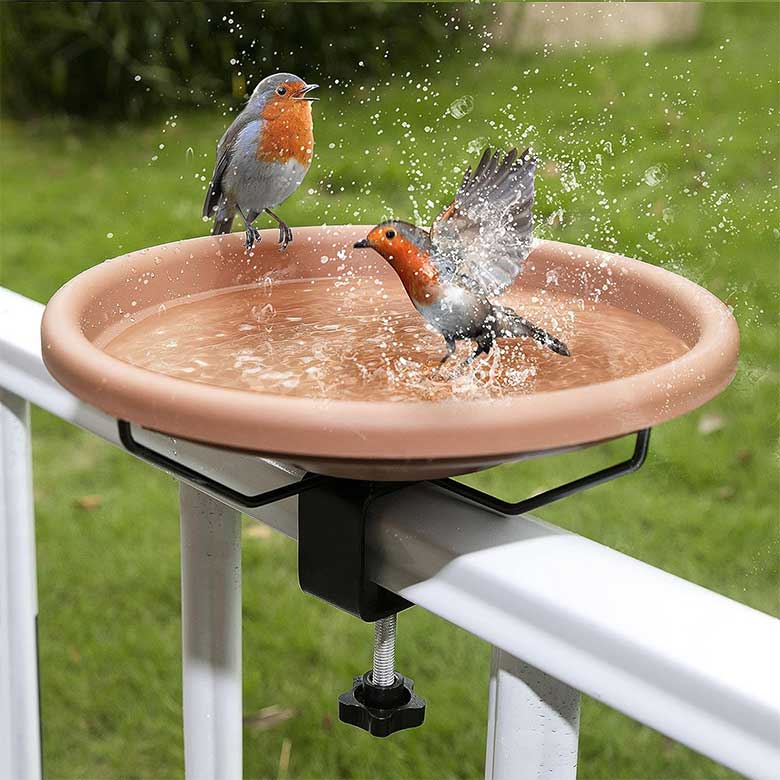 bird bath