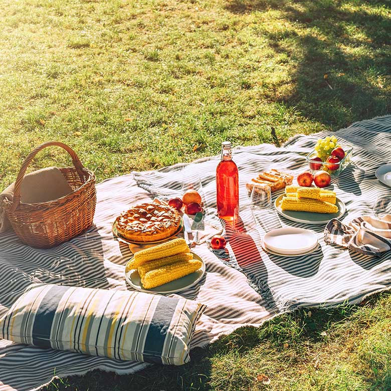 summer picnic