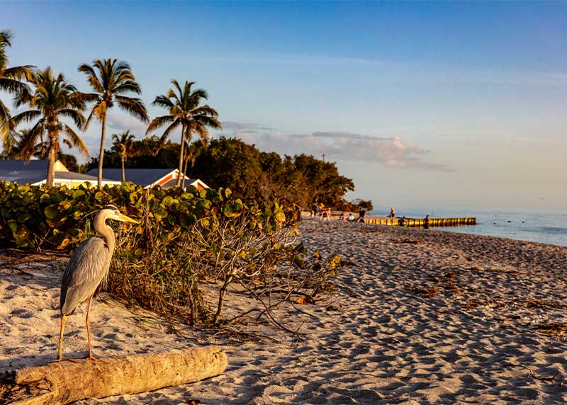 sanibel island blind pass florida