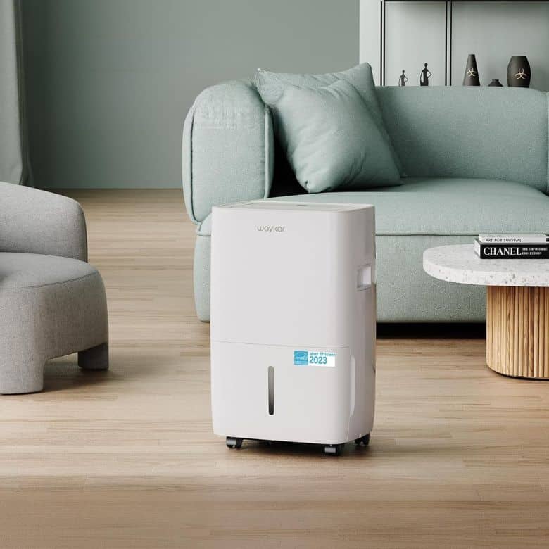 white dehumidifier in living room