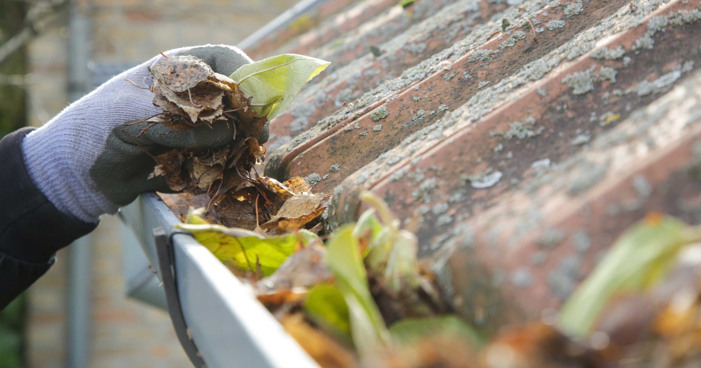 How to Clean Your Gutters in an Afternoon or Less
