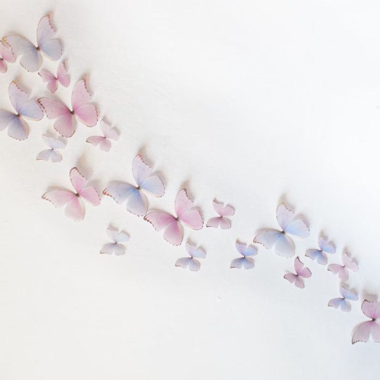 3D wall-mounted butterflies
