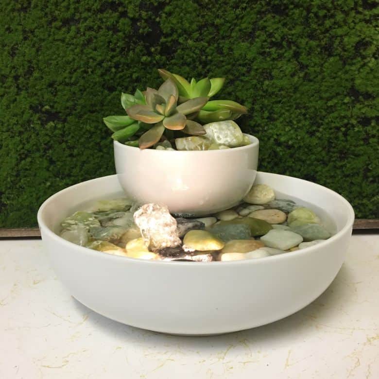 jade water fountain with live succulents