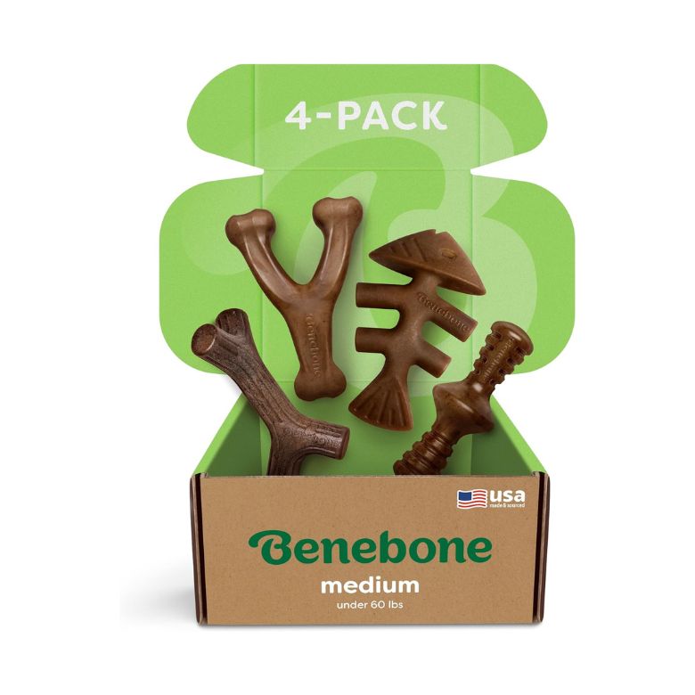 4-Pack Dog Chew Toys