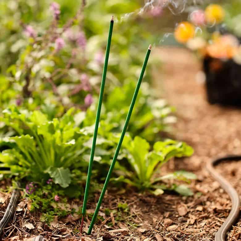 citronella garden sticks