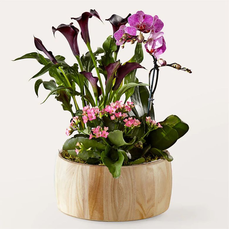 bouquet of Purple Calla Lily, Pink Orchid, and a Pink Kalanchoe