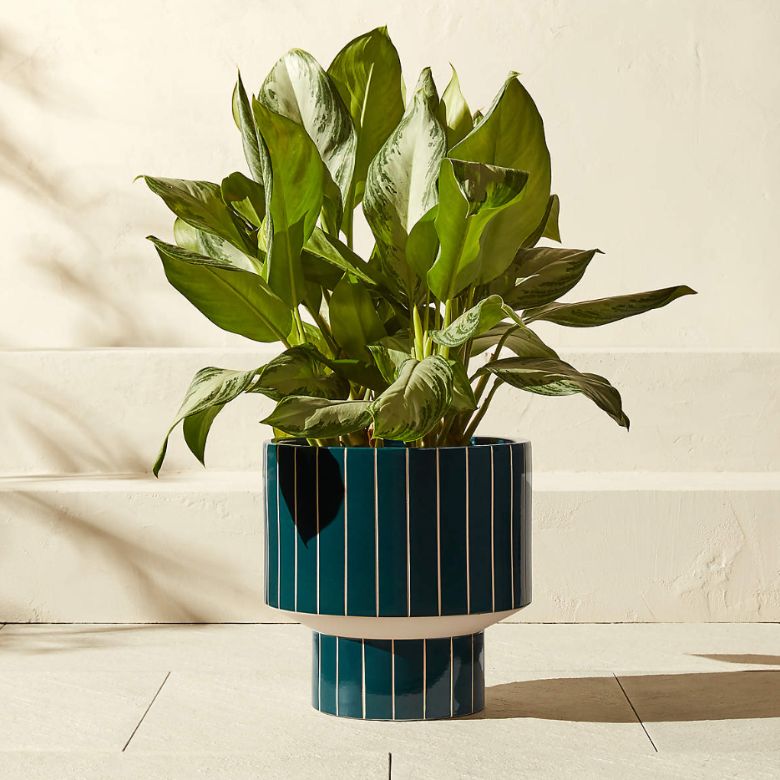 Green Striped Ceramic Indoor/Outdoor Planter