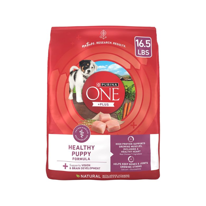 Purina ONE Plus Healthy Puppy Formula High Protein Dry Puppy Food