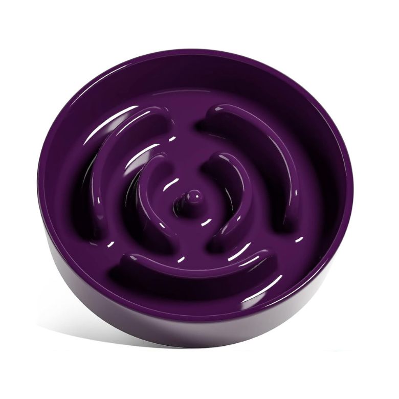 purple slow feeding dog bowl