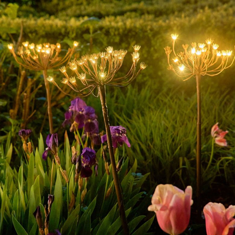 Solar Outdoor Lit Blossom Lawn Stakes