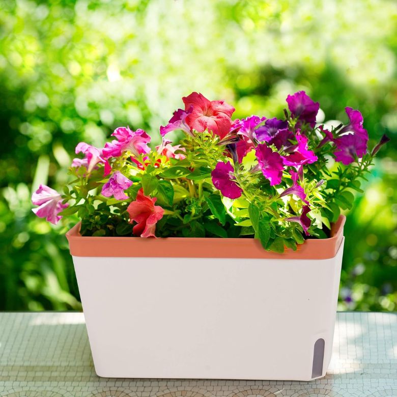 Self Watering Window Herb Planter Box